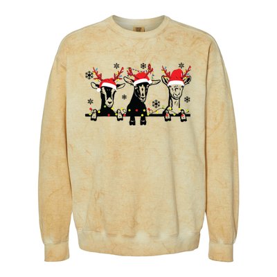 Cute Goats Christmas Lights Funny Farm Animal Christmas Colorblast Crewneck Sweatshirt