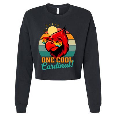 Cardinal Gifts Children Boy Girl Birds Cropped Pullover Crew