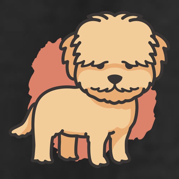 Cute Goldendoodle Dog Beanie