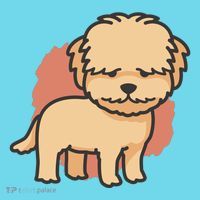 Cute Goldendoodle Dog Premium T-Shirt