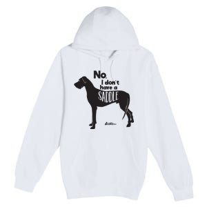 Cute Great Dane Mom Top Large Dog No I Dont Have A Saddle Premium Pullover Hoodie