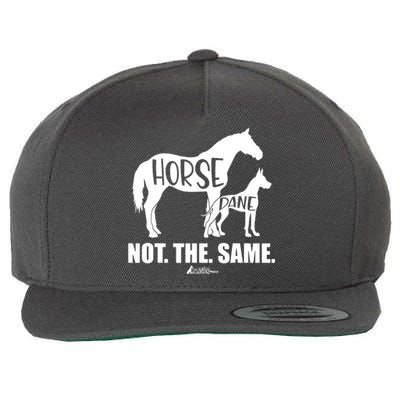 Cute Great Dane Top Funny Dog Mom Horse Dane Not The Same Wool Snapback Cap