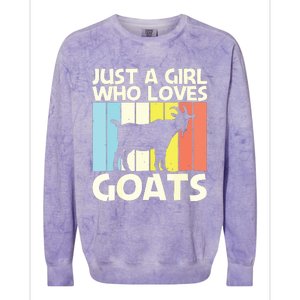 Cool Goat Design For Girl Women Goat Farmer Farming Lovers Colorblast Crewneck Sweatshirt