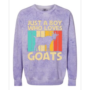 Cool Goat Design For Goat Farmer Farming Lovers Colorblast Crewneck Sweatshirt