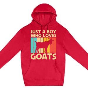 Cool Goat Design For Goat Farmer Farming Lovers Premium Pullover Hoodie