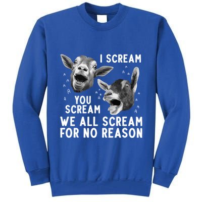Cute Goat Design Pygmy Goat Farmer Goat Lover Gift Tall Sweatshirt