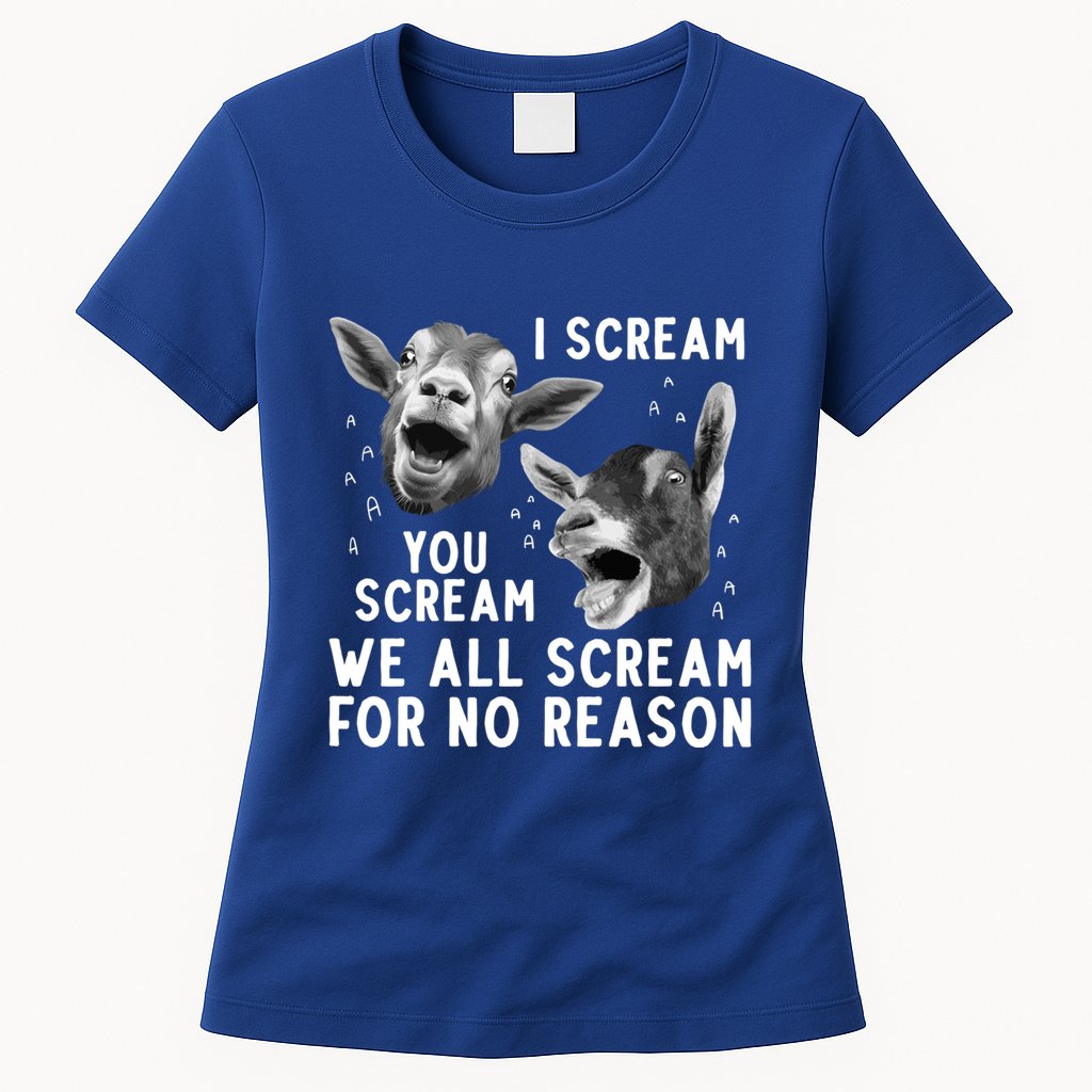 Cute Goat Design Pygmy Goat Farmer Goat Lover Gift Womens T-Shirt