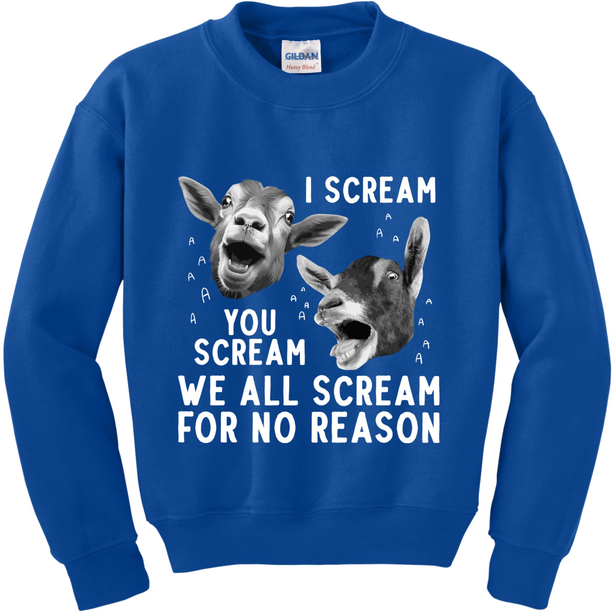 Cute Goat Design Pygmy Goat Farmer Goat Lover Gift Kids Sweatshirt