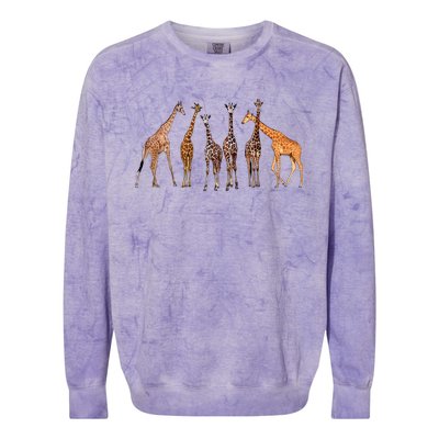 Cool Giraffe For Zoo Animal Lovers Safari Wildlife Colorblast Crewneck Sweatshirt