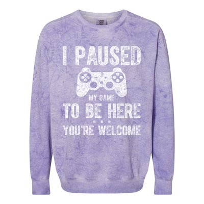 Cute Gamer Funny Gift I Paused My Game To Be Here YouRe Welcome Great Gift Colorblast Crewneck Sweatshirt