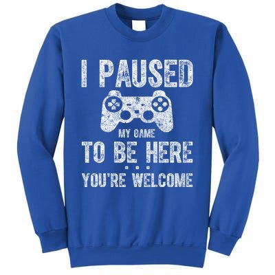 Cute Gamer Funny Gift I Paused My Game To Be Here YouRe Welcome Great Gift Sweatshirt