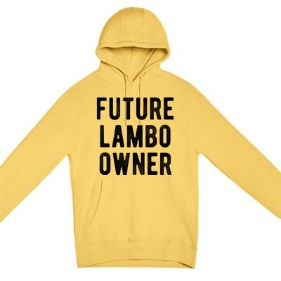 Cryptocurrency Gift Future Lambo Owner Funny Bitcoin Meaningful Gift Premium Pullover Hoodie