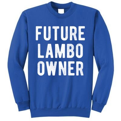 Cryptocurrency Gift Future Lambo Owner Funny Bitcoin Meaningful Gift Sweatshirt