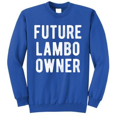 Cryptocurrency Gift Future Lambo Owner Funny Bitcoin Meaningful Gift Tall Sweatshirt