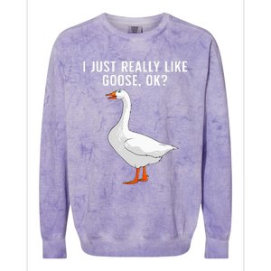 Cute Goose For Men Women Waterfowl Bird Goose Lover Colorblast Crewneck Sweatshirt