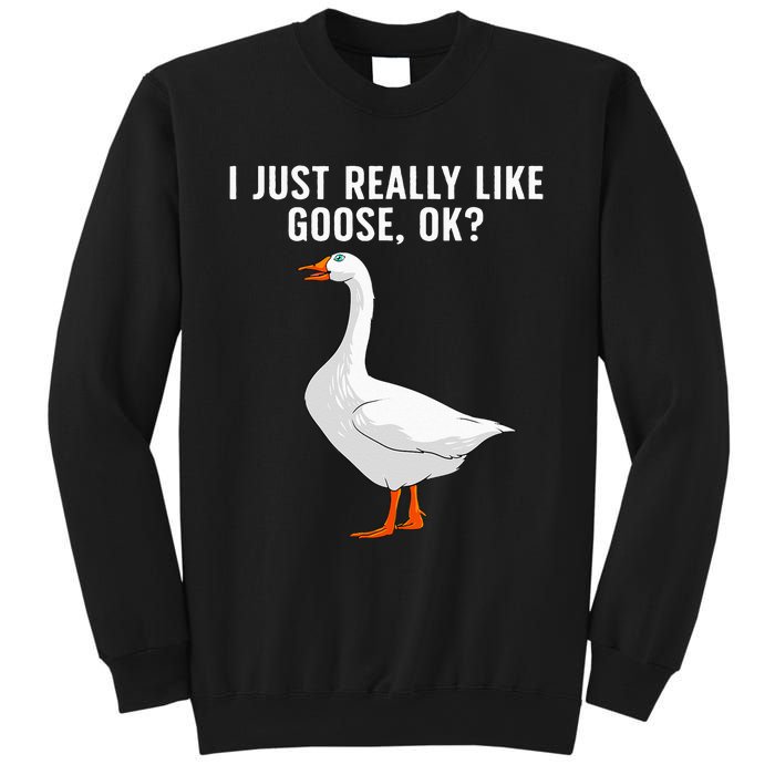 Cute Goose For Men Women Waterfowl Bird Goose Lover Sweatshirt