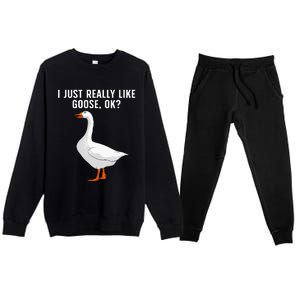 Cute Goose For Men Women Waterfowl Bird Goose Lover Premium Crewneck Sweatsuit Set