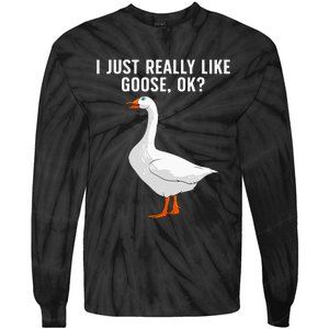 Cute Goose For Men Women Waterfowl Bird Goose Lover Tie-Dye Long Sleeve Shirt