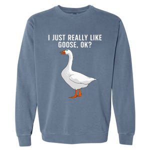 Cute Goose For Men Women Waterfowl Bird Goose Lover Garment-Dyed Sweatshirt