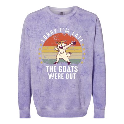 Cute Goat Funny Goat Farm Animal Colorblast Crewneck Sweatshirt