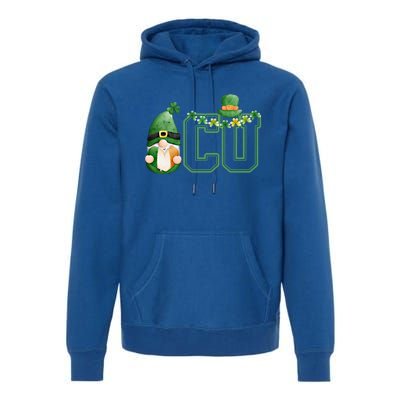 Cute Gnome Green Shamrock Funny Icu Nurse St Patricks Day Meaningful Gift Premium Hoodie