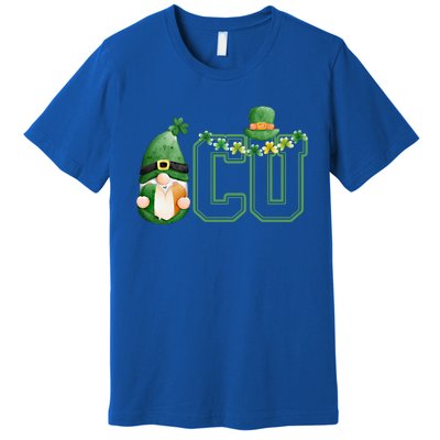 Cute Gnome Green Shamrock Funny Icu Nurse St Patricks Day Meaningful Gift Premium T-Shirt