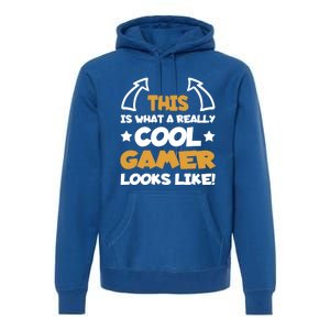 Cool Gamer Gaming Gamers Computer Video Games Funny Saying Gift Premium Hoodie