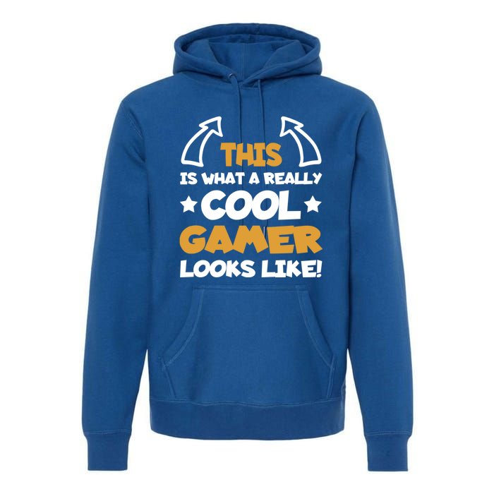 Cool Gamer Gaming Gamers Computer Video Games Funny Saying Gift Premium Hoodie