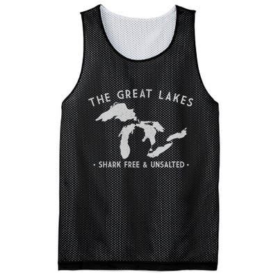 Cool Gift Great Lakes Shark Free And Unsalted Funny Vintage Mesh Reversible Basketball Jersey Tank