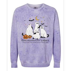 Cat Ghost Halloween Childless Cat Lady Voting Kamala 2024 Colorblast Crewneck Sweatshirt