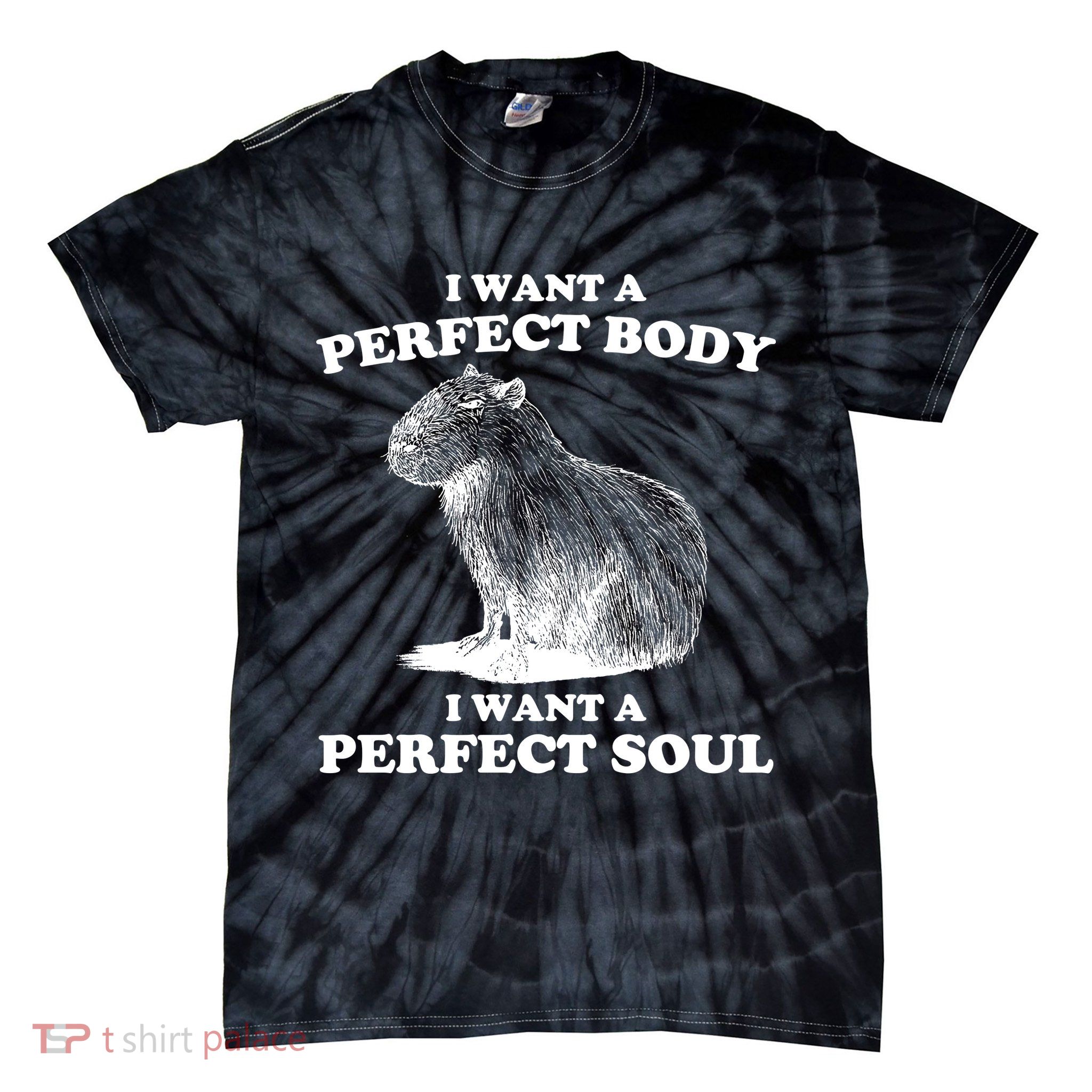 Capybara Gifts I Want A Perfect Body I Want A Perfect Soul Tie-Dye T-Shirt