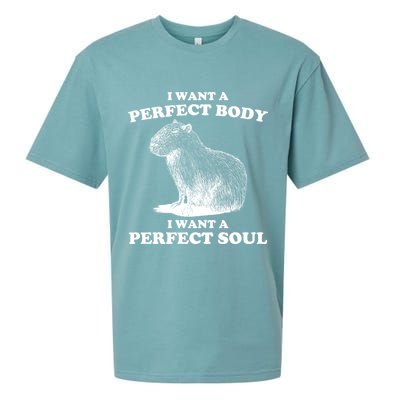 Capybara Gifts I Want A Perfect Body I Want A Perfect Soul Sueded Cloud Jersey T-Shirt