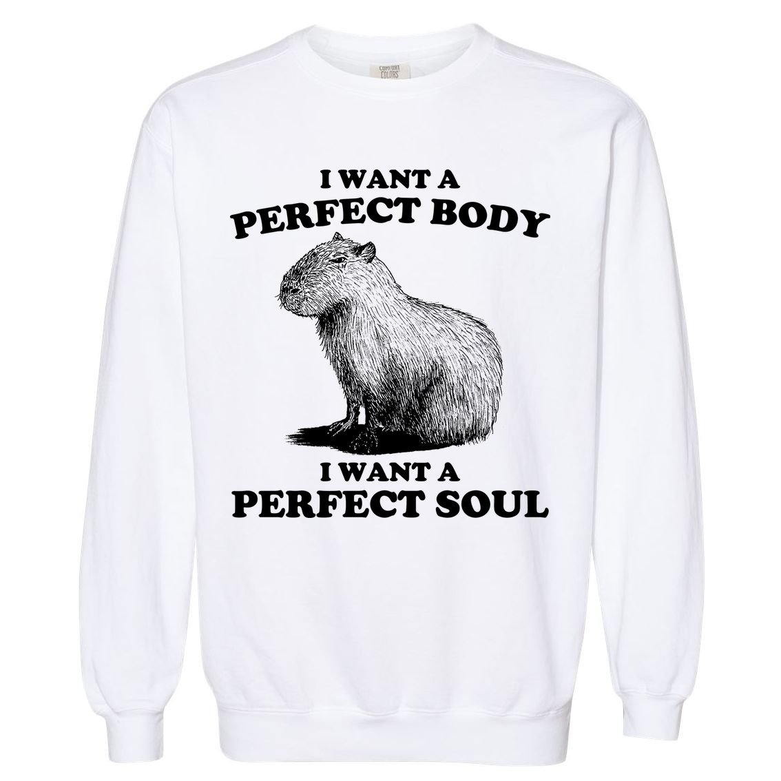 Capybara Gifts I Want A Perfect Body I Want A Perfect Soul Garment-Dyed Sweatshirt