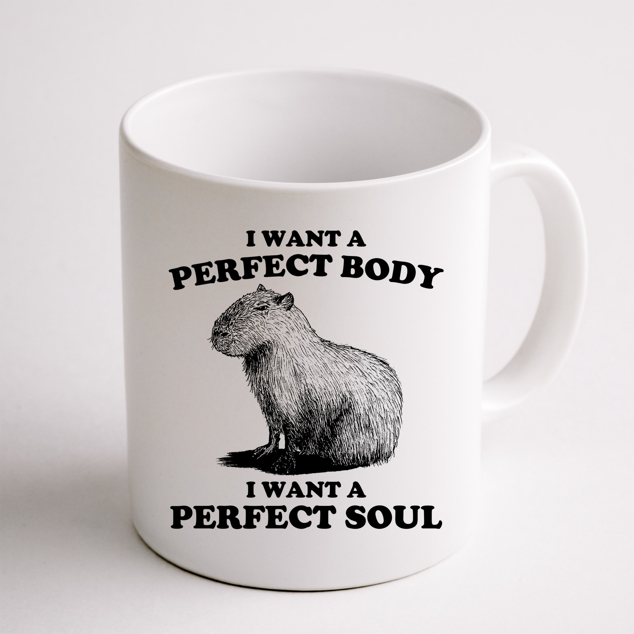 Capybara Gifts I Want A Perfect Body I Want A Perfect Soul Mug