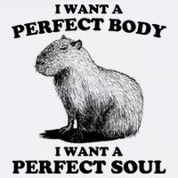 Capybara Gifts I Want A Perfect Body I Want A Perfect Soul Magnet
