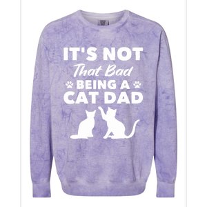 Cat Grandpa Its Not That Bad Being A Cat Dad Cat Daddy Gift Colorblast Crewneck Sweatshirt