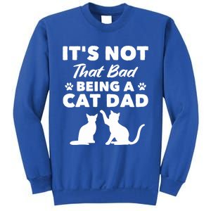 Cat Grandpa Its Not That Bad Being A Cat Dad Cat Daddy Gift Sweatshirt