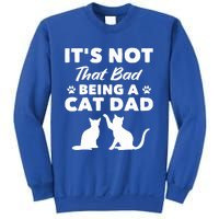 Cat Grandpa Its Not That Bad Being A Cat Dad Cat Daddy Gift Sweatshirt