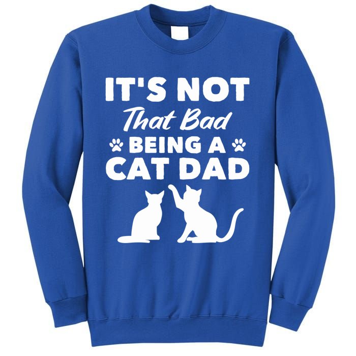 Cat Grandpa Its Not That Bad Being A Cat Dad Cat Daddy Gift Sweatshirt