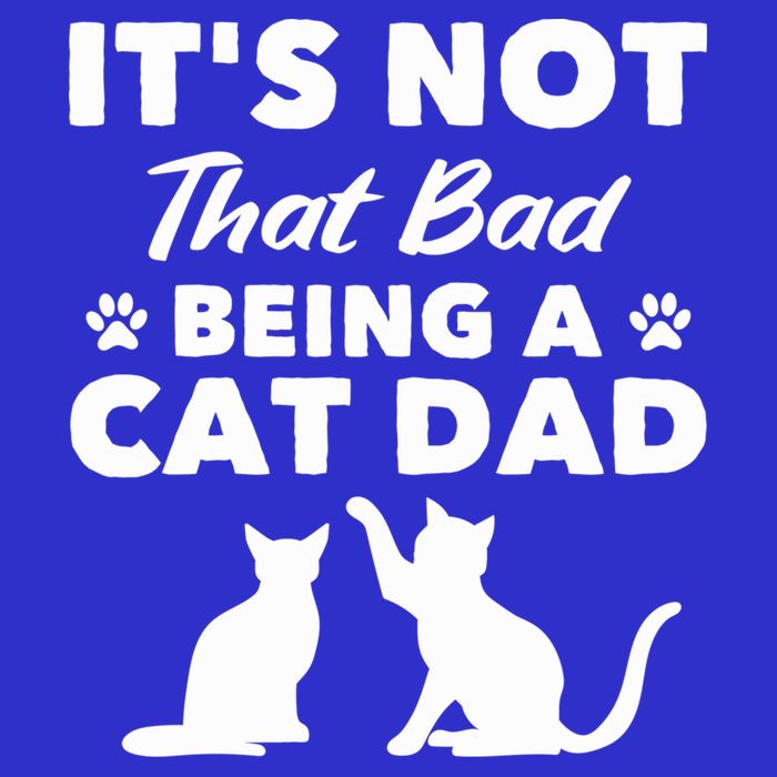 Cat Grandpa Its Not That Bad Being A Cat Dad Cat Daddy Gift Tank Top