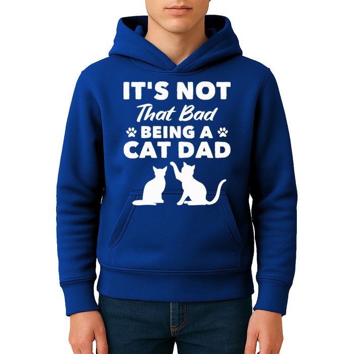 Cat Grandpa Its Not That Bad Being A Cat Dad Cat Daddy Gift Kids Hoodie