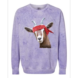 Cute Goat Lover Art For Women Girl Farm Animal Lover Colorblast Crewneck Sweatshirt