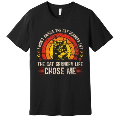 Cat Grandpa Life Cat Lover Grandpa Cat Grandfather Premium T-Shirt