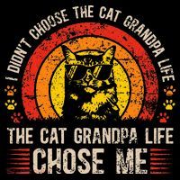 Cat Grandpa Life Cat Lover Grandpa Cat Grandfather Women's V-Neck T-Shirt