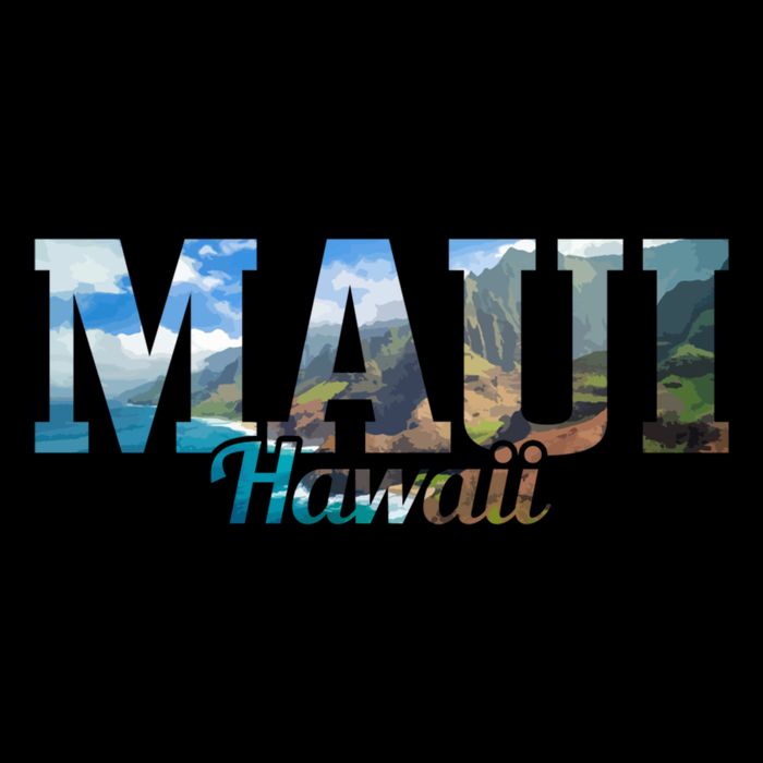 Cool Gift Maui Hawaii Hawaiian Islands Surf Surfing Surfer Gift  Zip Tote Bag