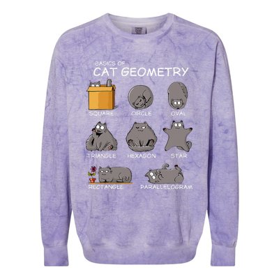 Cat Geometry Math Funny Cat Gifts For Cat Dad Cat Mom Colorblast Crewneck Sweatshirt