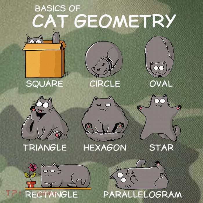 Cat Geometry Math Funny Cat Gifts For Cat Dad Cat Mom Legacy Tie Dye Trucker Hat