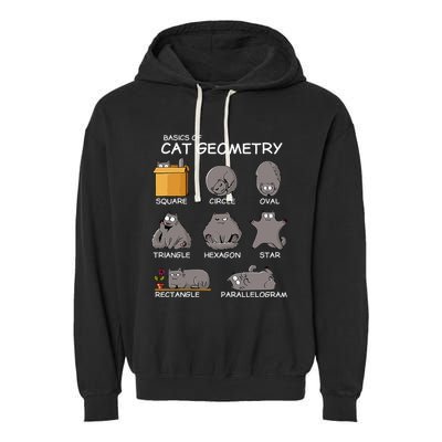 Cat Geometry Math Funny Cat Gifts For Cat Dad Cat Mom Garment-Dyed Fleece Hoodie