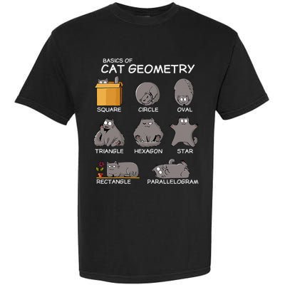 Cat Geometry Math Funny Cat Gifts For Cat Dad Cat Mom Garment-Dyed Heavyweight T-Shirt