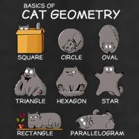 Cat Geometry Math Funny Cat Gifts For Cat Dad Cat Mom Adult Drive Performance Visor